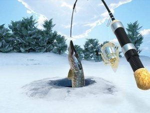 Frozen Waters: Ice Fishing Challenge