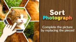 Picture Arrangement: Visual Puzzle