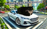 Spinning Cat Real Driving: Open World Car Game
