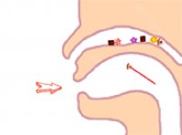 Clever Story Puzzle Game