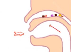Clever Story Puzzle Game